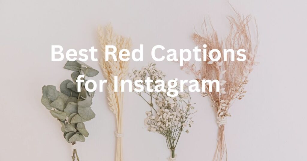 Red Captions for Instagram