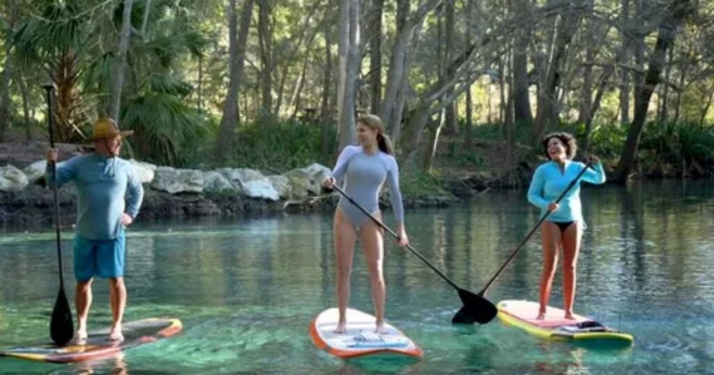 Paddle Boarding Captions